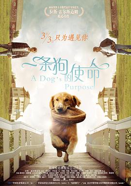 久精品在线