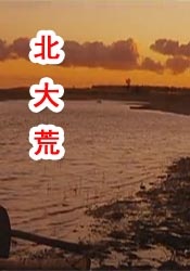美女人体西西