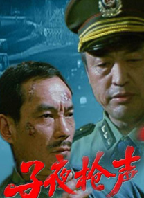 国内精品91久久久久