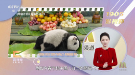 四虎国产精品成人永久免费影视